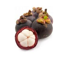 Mangoustan - Encyclo-ecolo.com - l'encyclopédie écologique Mangoustan - Encyclo-ecolo.com - l'encyclopédie écologique