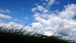 Image:Ciel2.jpg