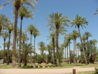 Image:Paldat2.jpg