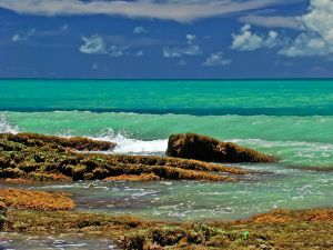 Image:Barrière de corail2.jpg