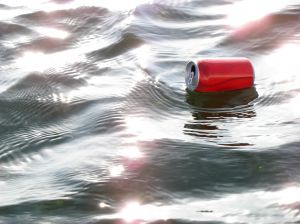 Image:Canette pollue2.jpg