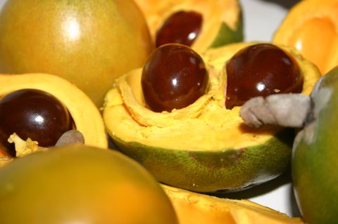 Image:Lucuma.jpg