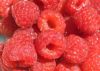 framboises