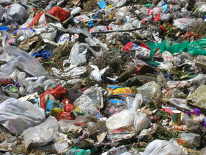 Image:Zero-dechet.jpg