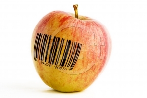 Image:OGM2.jpg