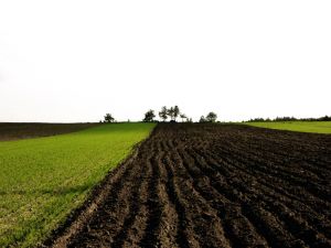 Image:Terre2.jpg