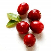 Image:Cran2.jpg