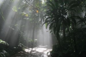 Image:Zone2.jpg