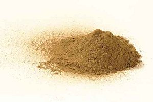 Image:Levurebiere2.jpg