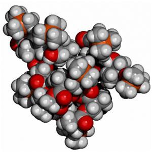 Image:Polymere2.jpg