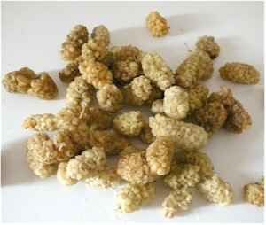 Image:Mulberries.jpg
