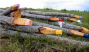 Land Art