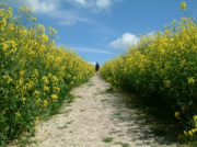 agriculture Bio